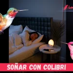 Soñar Con Colibri